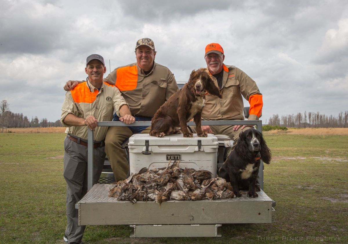 Hunting party with guides and bird dogs